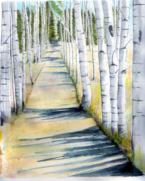 Aspen_road003_small